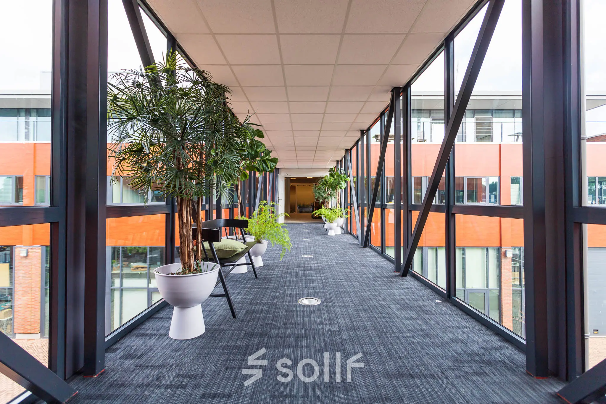 Verlichte corridor in kantoorpand Pompoenweg 3-15 Leiden met grote ramen en planten, ideaal voor kantoorruimte huren.