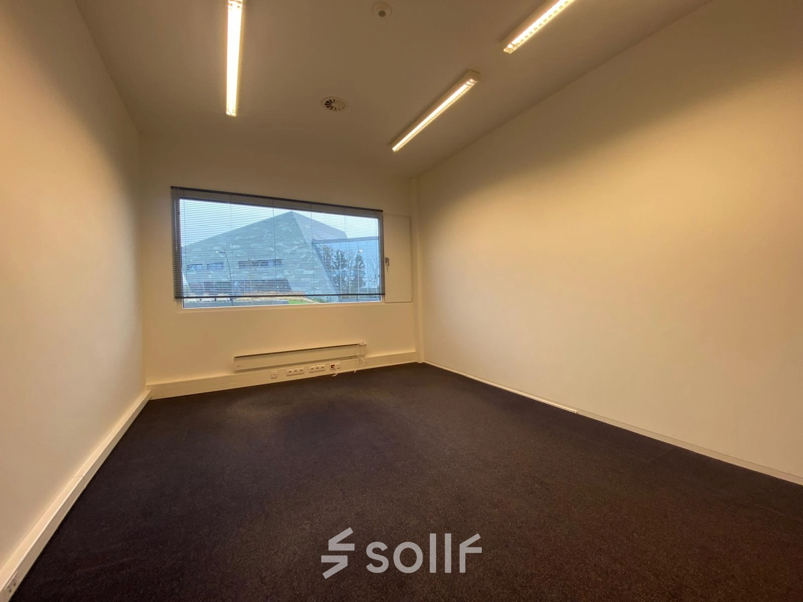 Lege kantoorruimte met grijs tapijt en grote ramen, gelegen in kantoorpand op Boven de Wolfskuil 3, Roermond. Ideaal voor wie kantoorruimte huren overweegt.