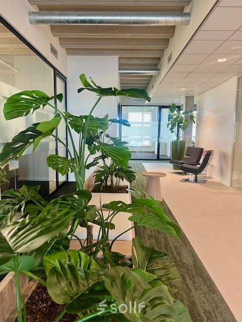 Moderne kantoorruimte huren op Bahialaan 100 in Rotterdam Brainpark met veel groen en grote planten langs de glazen wanden. Comfortabele zitplaatsen aanwezig.