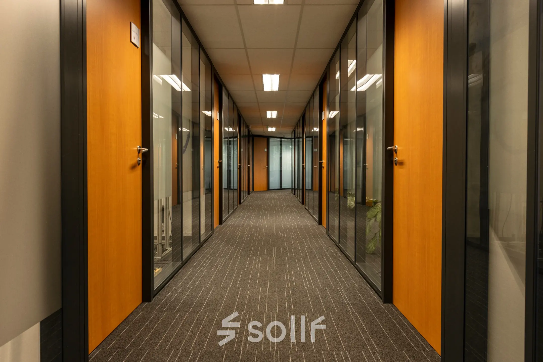 Glazen kantoorruimtes aan een centrale gang op Curieweg 9, Spijkenisse, klaar voor verhuur. De kantoorpand beschikt over houten deuren en moderne verlichtingsplafonds.