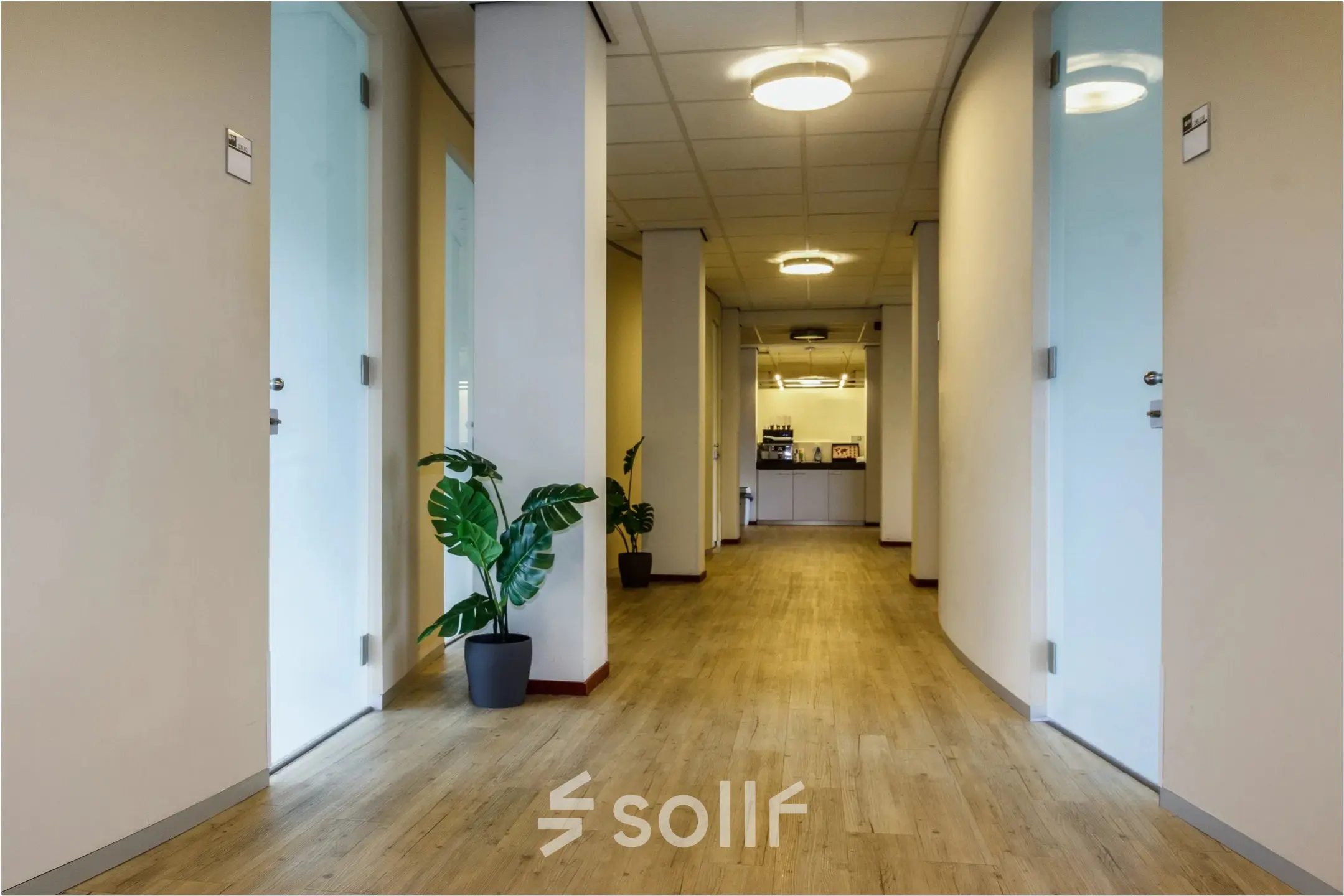 Hal met houten vloer en glazen deuren, accentueert toegang tot diverse kantoorruimtes in kantoorpand Bredewater 26 in Zoetermeer. Planten in potten verlevendigen de rustige sfeer.