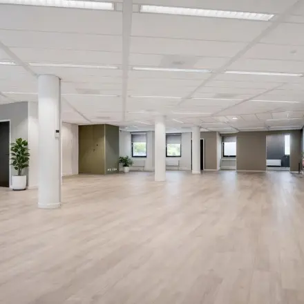 Spacious office area in Amersfoort Centrum with wooden flooring and potted plants, ideal for rent. Plenty of natural light enhances the open layout, perfect for office space rental options.