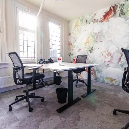 Bright office space with modern desks, ergonomic chairs, and a floral feature wall, perfect for rent office space in Amsterdam Center.