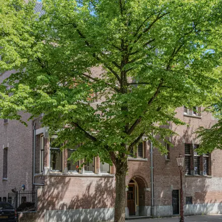 Exterior view of Emmalaan 7-9, Amsterdam Old South showcasing the brick office building surrounded by lush green trees, ideal for office space rental.
