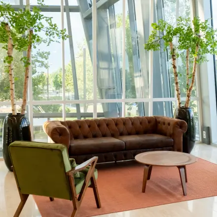 Lounge area with a brown sofa and green chairs at an office to rent in Amsterdam Riekerpolder, featuring large windows and potted plants.