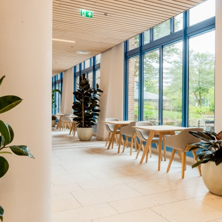 Bright office space in Amsterdam South East with large windows and potted plants, ideal for office space rental.