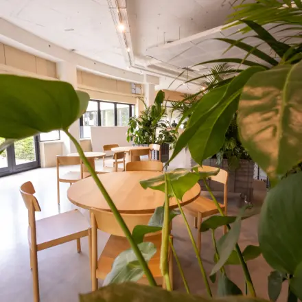 Bright office space at Luttenbergweg 8, Amsterdam South East with natural light, wooden furniture, and abundant greenery, ideal for office space rental.