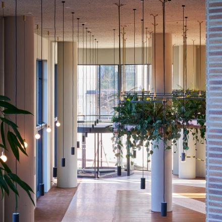 Spacious office area at Hildegard Von Bingenstraat 44, Amsterdam Zuidas, featuring modern decor, hanging plants, and ample natural light, ideal for office space rental.