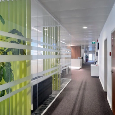 Bright and modern hallway in an office available for rent at Lange Lozanastraat 142, Antwerp Center, featuring sleek glass partitions and a vibrant plant.