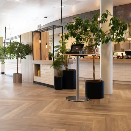 Modern reception area at Schumanpark 9, Apeldoorn with plants and a welcoming desk, ideal for those looking to rent office space in a stylish environment.