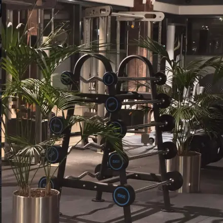A fitness area featuring weightlifting equipment and lush potted plants, perfect for a break during office work at Schumanpark 9, Apeldoorn.