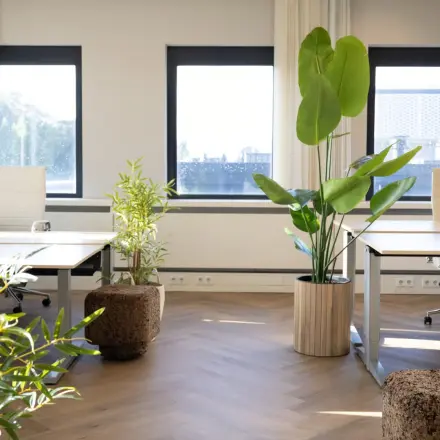 Furnished office space in Apeldoorn at Schumanpark 9 with two workstations, large windows, and indoor plants, available for office space rental.