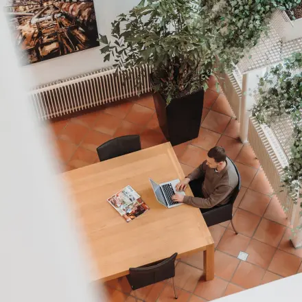 Bright workspace at Vlamoven 34, Arnhem IJsseloord, featuring a person working at a wooden desk surrounded by greenery and art. Ideal office space rental location.