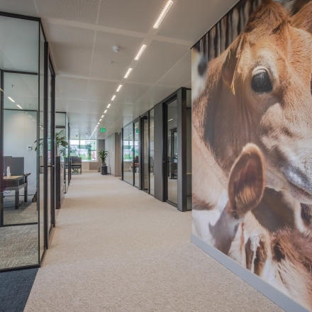 Modern office space at Rijksweg-West 2 in Arnhem Zuid with glass-fronted meeting rooms and a vibrant mural along the hallway, available for office space rental.