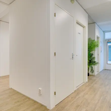 Spacious office hallway with wooden flooring and potted plants at Regulierenring 2, Bunnik, ideal for office space rental.