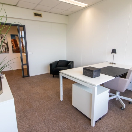 Bright office space at Marshalllaan 2, Delft with a desk, chair, and plant for rent. Ideal for professionals seeking office space rental.