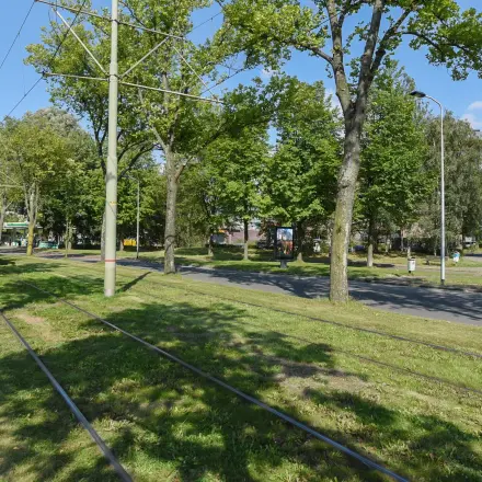 Tram passing by green space near Marshalllaan 2 in Delft, an appealing location for office space rental.