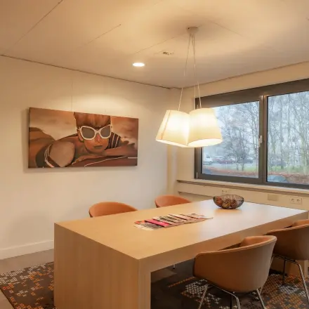 A furnished office space at Marshalllaan 2, Delft, featuring a wooden table, chairs, modern artwork on the wall, and large windows providing natural light. Ideal for office space rental.