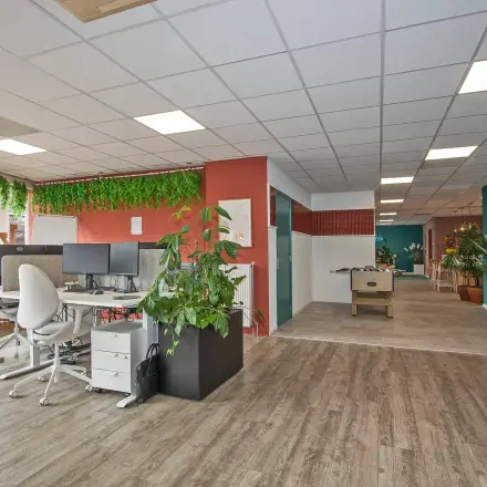 Furnished office space at Boddenkampsingel 95, Enschede with desks, chairs, and decorative plants, perfect for office space rental.