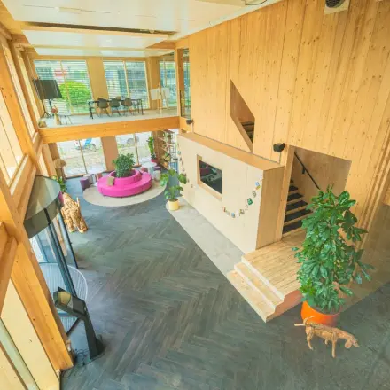 Wooden-interior office space on Moutlaan 1-23 in Enschede, showcasing a spacious, modern design with a mezzanine and large plants, ideal for office space rental.