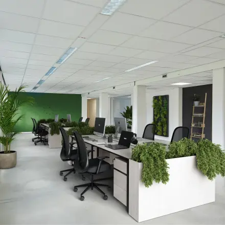 Modern office space at Schweitzerlaan 12, Groningen, featuring open workstations with ergonomic chairs and lush greenery, perfect for office space rental.