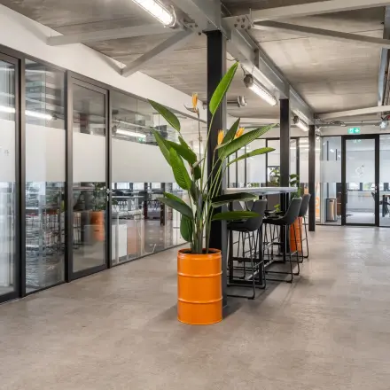 Spacious interior at Waarderweg 52 with glass-partitioned offices, perfect for office space rental in Haarlem Waarderpolder. Tall plants and modern high tables complement the sleek design, ideal for workspaces.