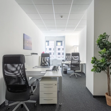 Modern office space rental in Hamburg's Old Town at Raboisen 38, featuring a furnished interior with desks, chairs, and a potted plant.