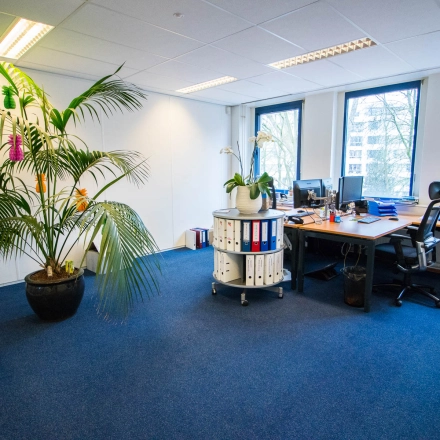 Bright office space for rent at Franciscusweg 219, Hilversum, featuring desks, natural light, and decorative plants.