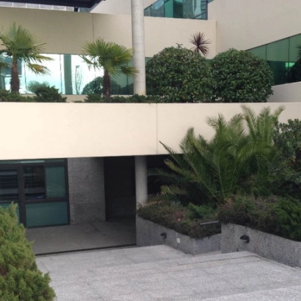 Entrance of an office building at Calle de Francisca Delgado 9 in Madrid Alcobendas, featuring greenery and modern architecture.