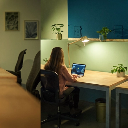 A furnished office space at Amalienstraße 71, Munich Maxvorstadt, with a person working at a desk, featuring plants and a laptop, illustrating a cozy environment for office space rental.
