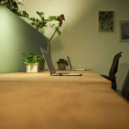 Cozy office space with wooden desks, laptops, and green decor, available for rent at Amalienstraße 71, Munich Maxvorstadt.