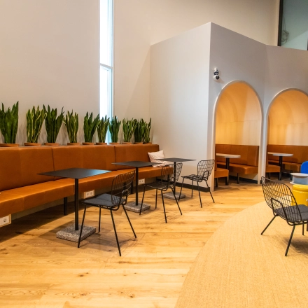 Brightly lit office space in Munich Maxvorstadt with modern furnishings, featuring comfortable seating and a row of potted plants along the wall.