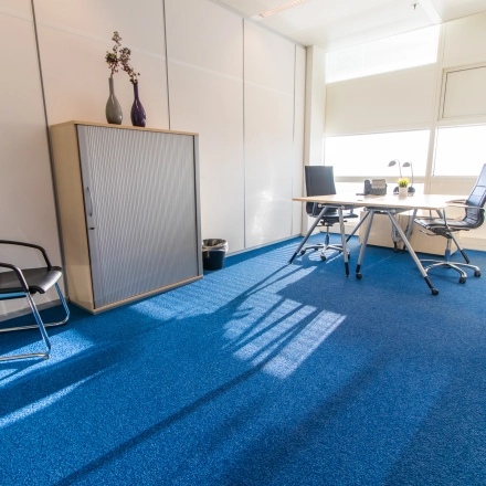 Bright office space with blue carpet, modern furniture, and natural light at Jonkerbosplein 52, Nijmegen, perfect for office space rental.