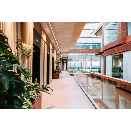 Modern interior hallway at Hoogstraat 185, Rotterdam Center, perfect for office space rental with sleek design and natural lighting.