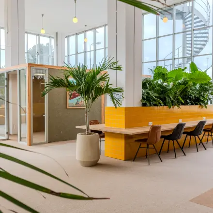 Vibrant office space at Van Nelleweg 1, Rotterdam Delfshaven, featuring large windows, plants, and stylish furniture perfect for office space rental.