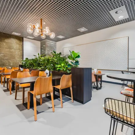 Spacious furnished office space rental at Oostmaaslaan 71, Rotterdam Kralingen, with wooden tables, chairs, and vibrant plants, offering a modern and inviting atmosphere.