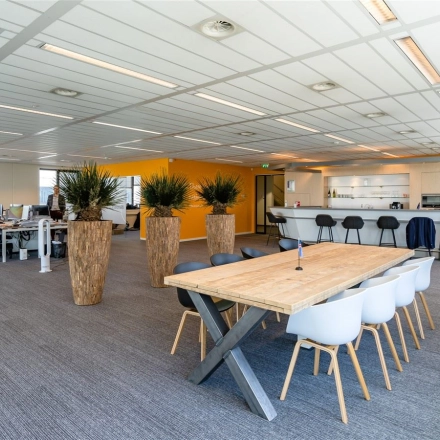 Spacious office space rental at Waalhaven O.z. 83, Rotterdam, featuring modern workstations and a communal table. Rent office space with an inviting atmosphere and stylish plants.