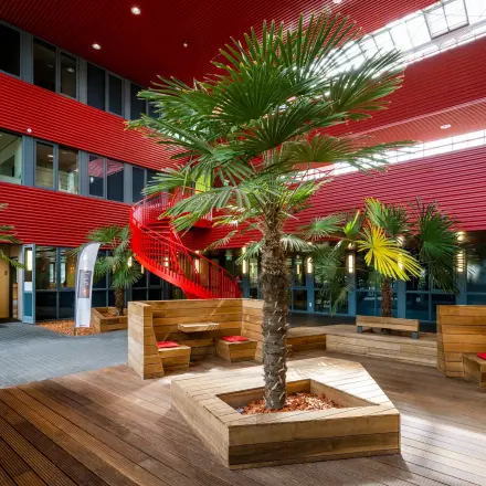 Open lounge area at Folkstoneweg 2-56 in Schiphol Airport with modern wooden seating around palm trees, ideal for office space rental.