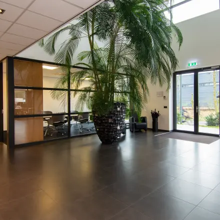 Spacious office entrance at Gildestraat 13, Velp, with a large plant and visible conference room, ideal for office space rental.
