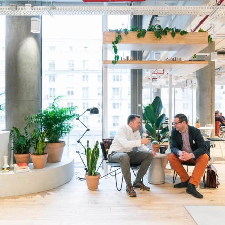 Modern office to rent at Krucza 50, Warsaw Śródmieście with professionals engaged in a meeting. Bright space with plants and contemporary furniture ideal for office space rental.