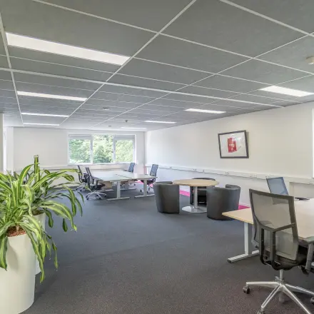 Modern office space with several workstations, natural light from large windows, and a potted plant, available for rent at Molenweer 2, Wateringen.