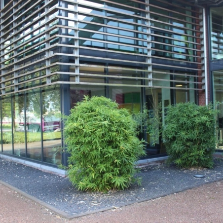 Exterior view of office building at M.A. Reinaldaweg 2d, Woerden with modern glass facade and lush greenery, ideal for office space rental.