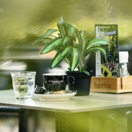 Cozy office space with a small indoor plant, coffee cup, and a water glass on a table at Hanzeplein 11-27, Zwolle, ideal for renting.