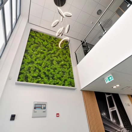 Ingang van een modern kantoorpand met een verticale tuin aan de muur in Almere Stad. Het interieur is licht en uitnodigend, ideaal voor bedrijven die kantoorruimte willen huren.