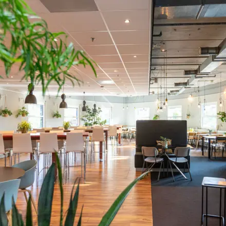 Moderne en lichte kantoorruimte te huur op Stationsplein 49, Amersfoort Centraal Station, met diverse zitplekken, houten vloeren en veel groen. Ideaal voor dynamische werkplekken en vergaderingen in een kantoorpand.
