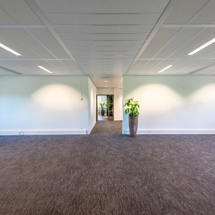 Leeg kantoor op Stadsring 115, Amersfoort Centrum. De ruimte heeft een neutrale vloerbedekking en helder verlichte wanden met een grote plant in de hoek. Ideaal voor kantoorruimte huren.