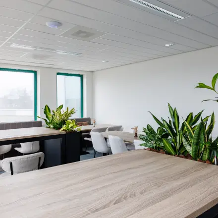 Moderne kantoorruimte met houten tafels, grijze stoelen en planten in Amersfoort Centrum. Huur deze lichte werkruimte voor een productieve omgeving.