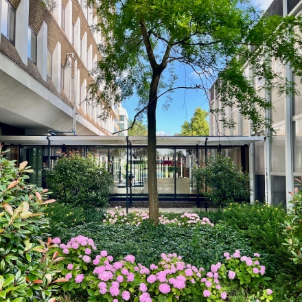 Uitzicht op de groene buitenruimte van het kantoorpand aan de Professor E.M. Meijerslaan 1 in Amstelveen.