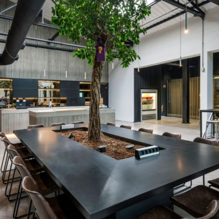 Kantoorruimte huren aan Meeuwenlaan 98-100 in Amsterdam Noord, met een grote tafel omringd door stoelen en een centrale boom, geschikt voor samenwerkingssessies.