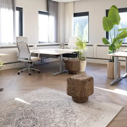 Heldere kantoorruimte met grote ramen en moderne kantoorstoelen op Schumanpark 9 in Apeldoorn, omringd door groene planten en voorzien van stijlvolle vloerbedekking.